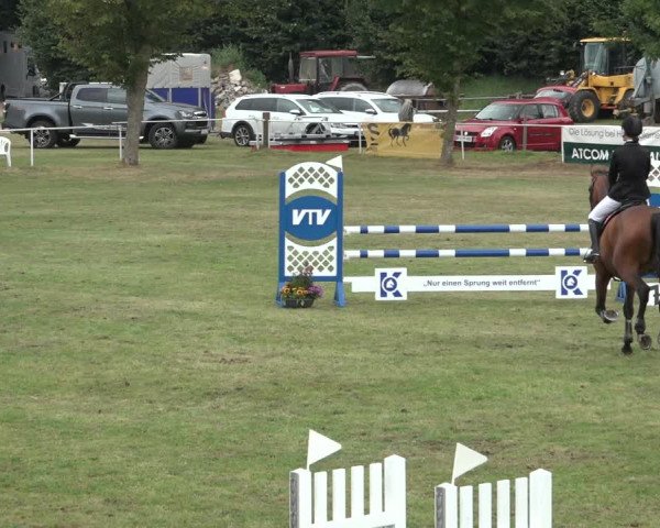 Reitturnier Kellinghusen 2022
