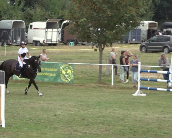 Reitturnier Kellinghusen 2022