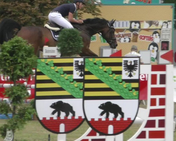 Reitturnier Aschersleben 2022