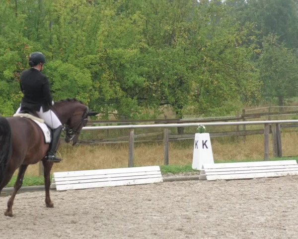 Reitturnier Köngen 2022