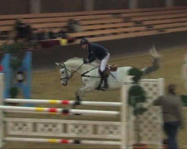 jumper Caguna G (Westphalian, 2000, from Calido I)