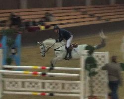 jumper Caguna G (Westphalian, 2000, from Calido I)