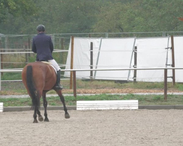 Reitturnier Köngen 2022