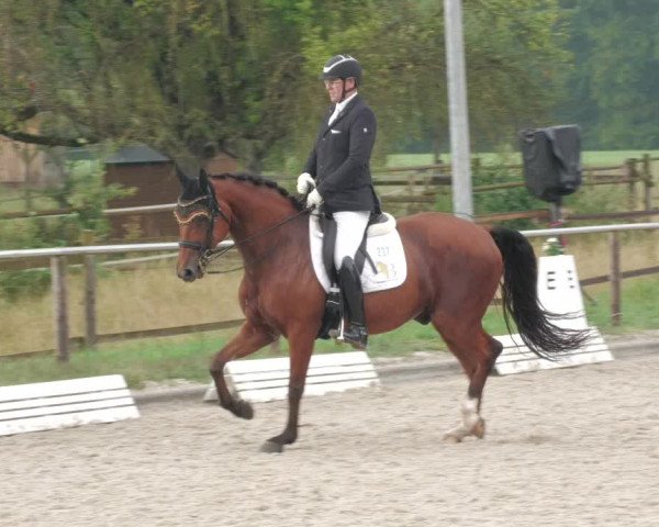 Reitturnier Köngen 2022