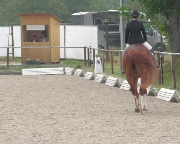 Reitturnier Köngen 2022