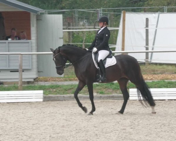 Reitturnier Köngen 2022