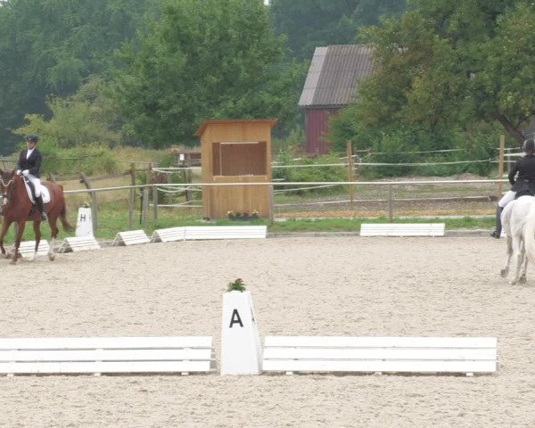 Reitturnier Köngen 2022