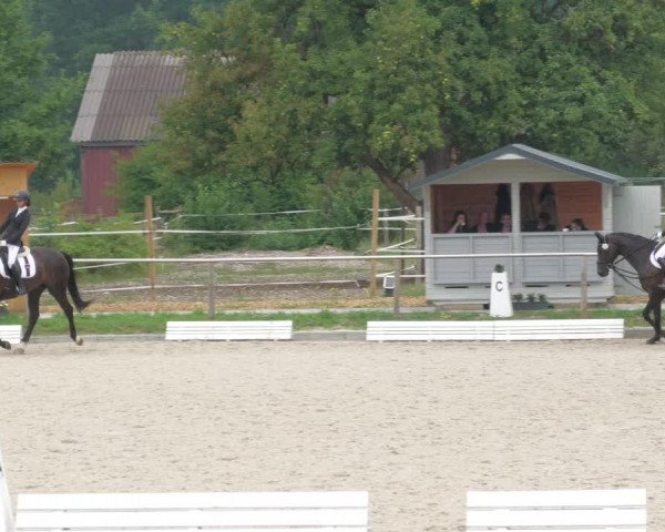 Reitturnier Köngen 2022