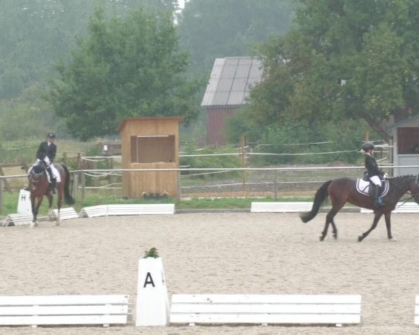 Reitturnier Köngen 2022