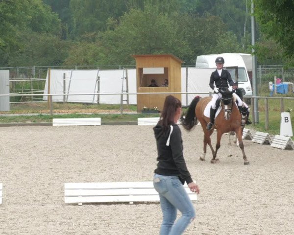 Reitturnier Köngen 2022
