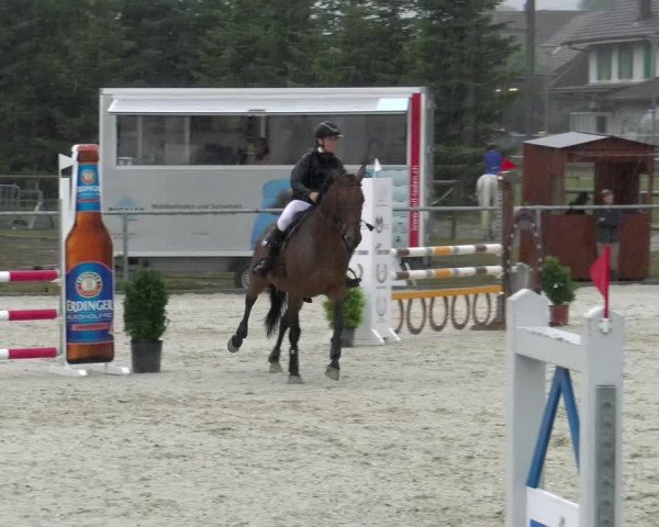 Reitturnier Dompierre 2022