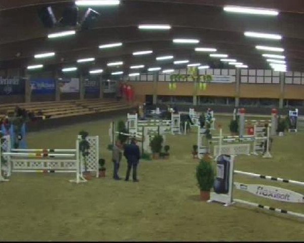 jumper Emotion 25 (Oldenburg, 2004, from Ars Vivendi)