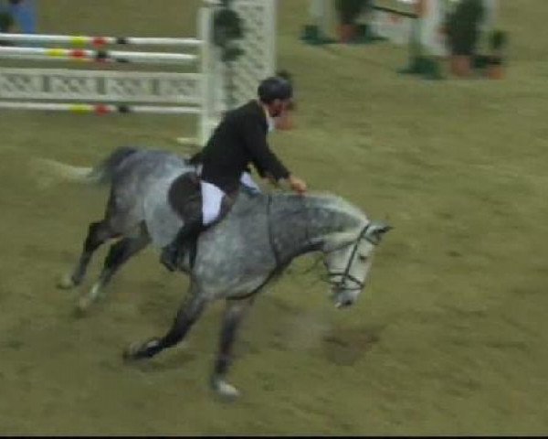 jumper Calero San Gabriel (Oldenburg, 2004, from Cento)