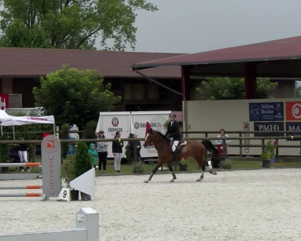 Reitturnier Dompierre 2022