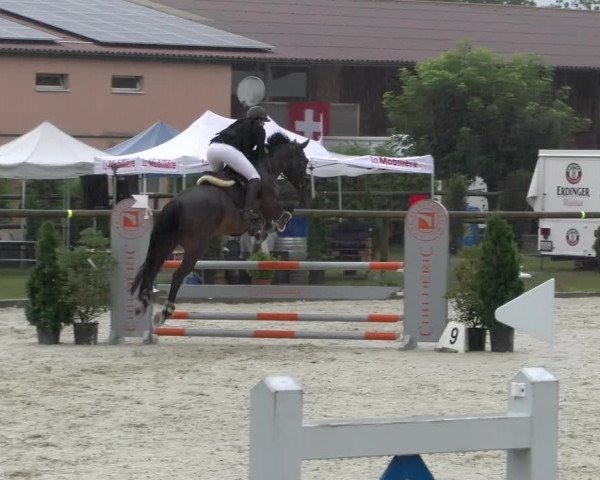 Reitturnier Dompierre 2022