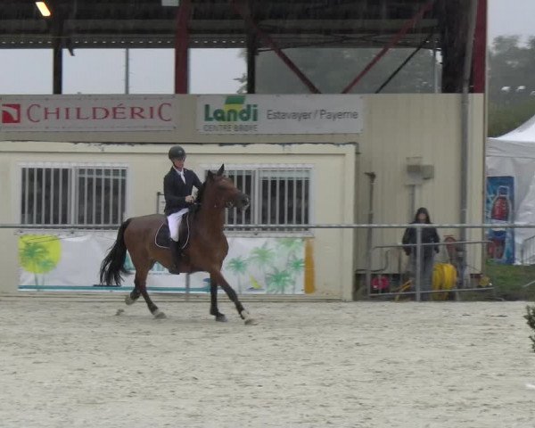 Reitturnier Dompierre 2022