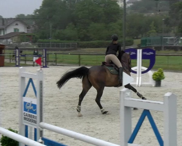 Reitturnier Dompierre 2022
