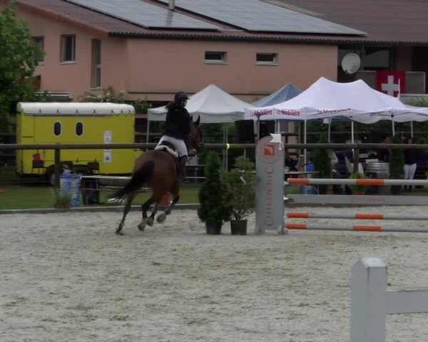 Reitturnier Dompierre 2022