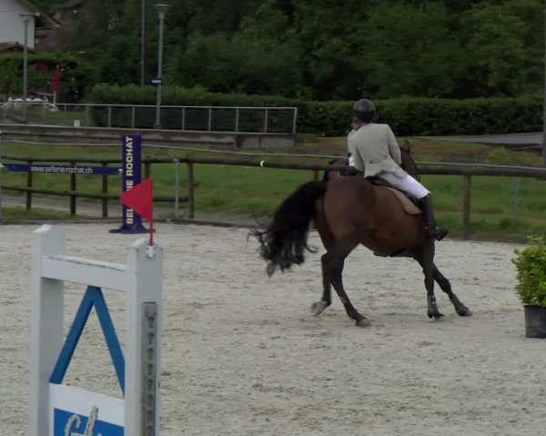 Reitturnier Dompierre 2022