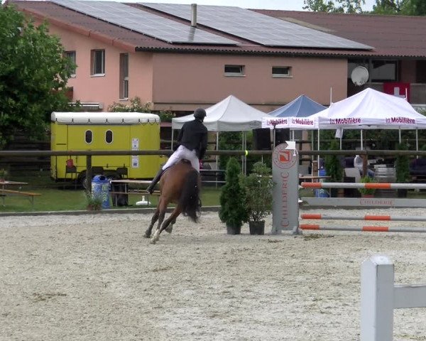 Reitturnier Dompierre 2022