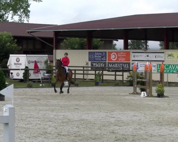 Reitturnier Dompierre 2022