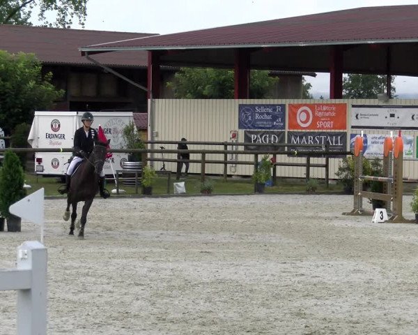 Reitturnier Dompierre 2022
