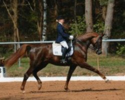 dressage horse Dejavue (Hanoverian, 2002, from Dacaprio)