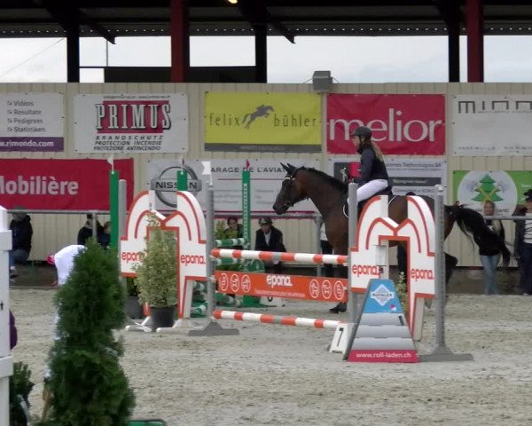 Reitturnier Dompierre 2022