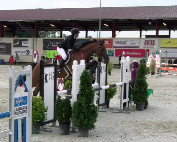 Reitturnier Dompierre 2022