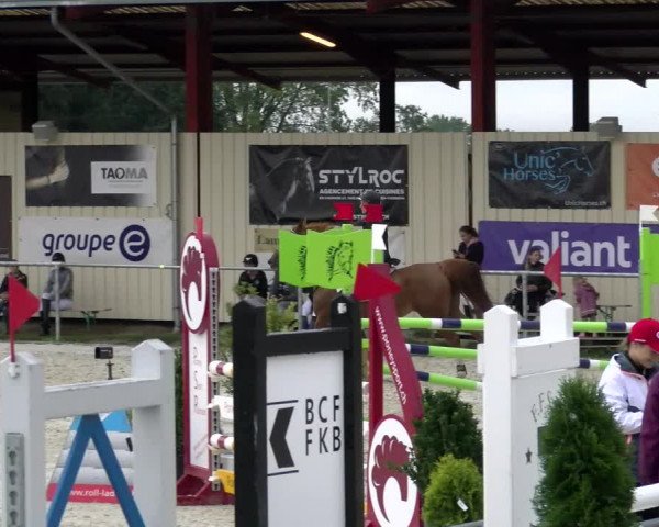 Reitturnier Dompierre 2022