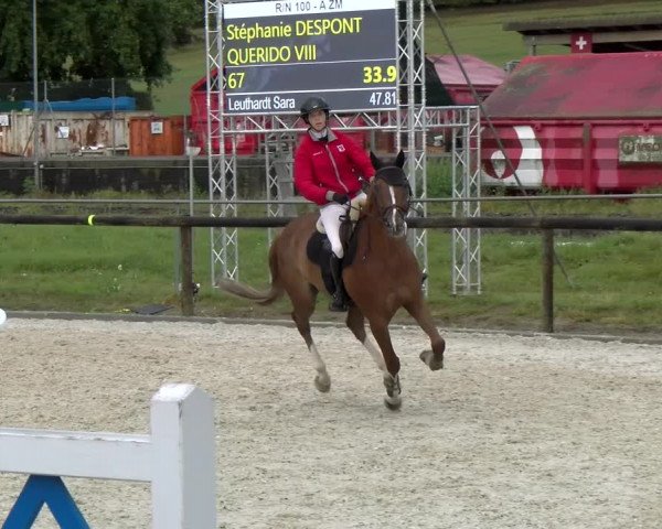 Reitturnier Dompierre 2022