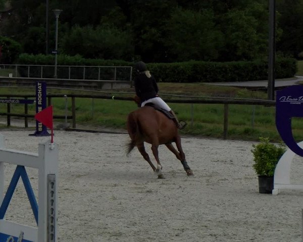 Reitturnier Dompierre 2022
