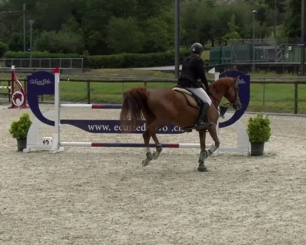 Reitturnier Dompierre 2022