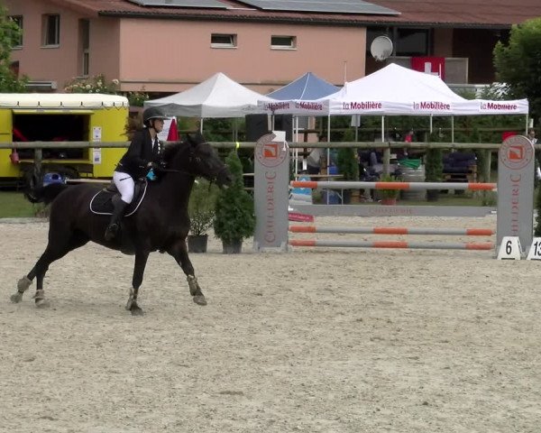Reitturnier Dompierre 2022