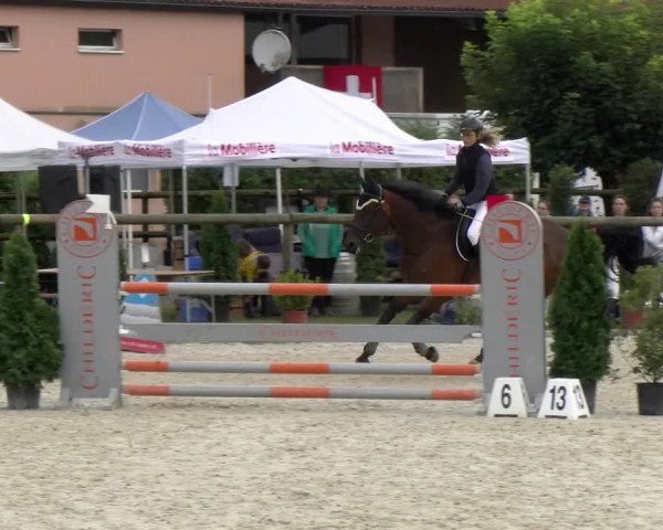 Reitturnier Dompierre 2022