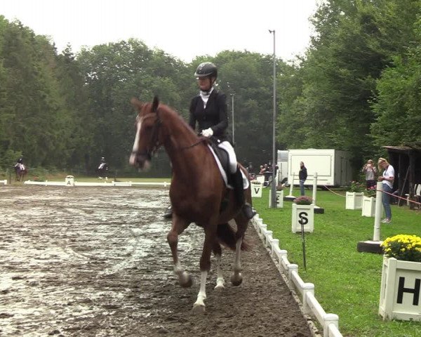Reitturnier Kellinghusen 2022