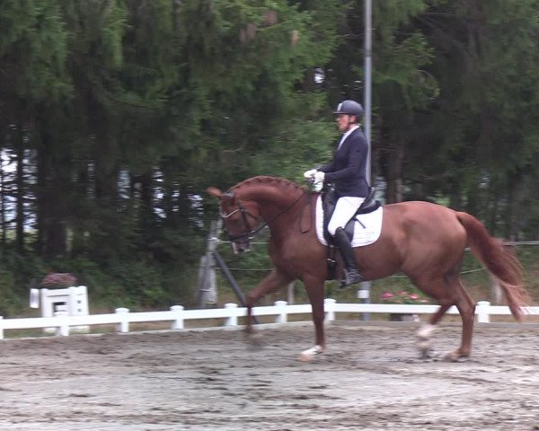 Reitturnier Kellinghusen 2022