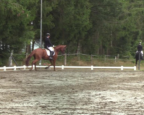 Reitturnier Kellinghusen 2022