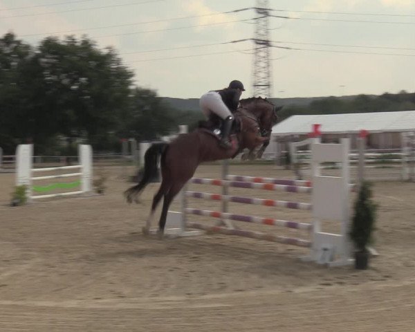 Reitturnier Menden 2022