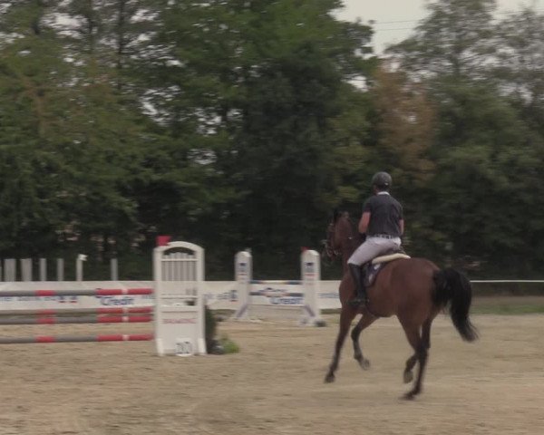Reitturnier Menden 2022