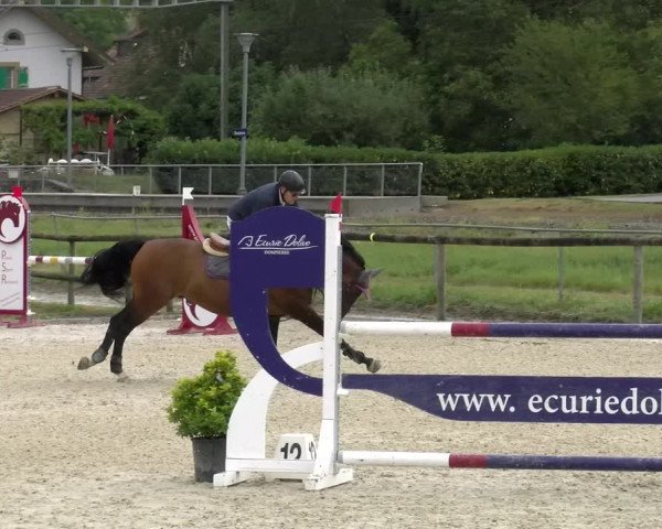Reitturnier Dompierre 2022