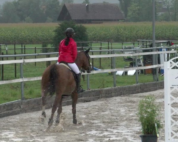 Reitturnier Oberriet 2022