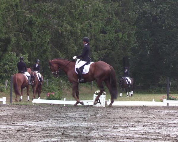 Reitturnier Kellinghusen 2022