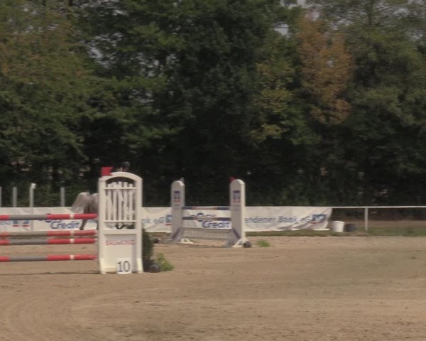 Reitturnier Menden 2022