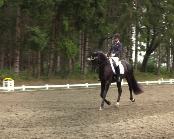 Reitturnier Kellinghusen 2022
