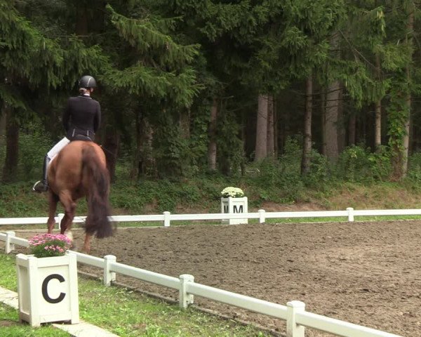 Reitturnier Kellinghusen 2022
