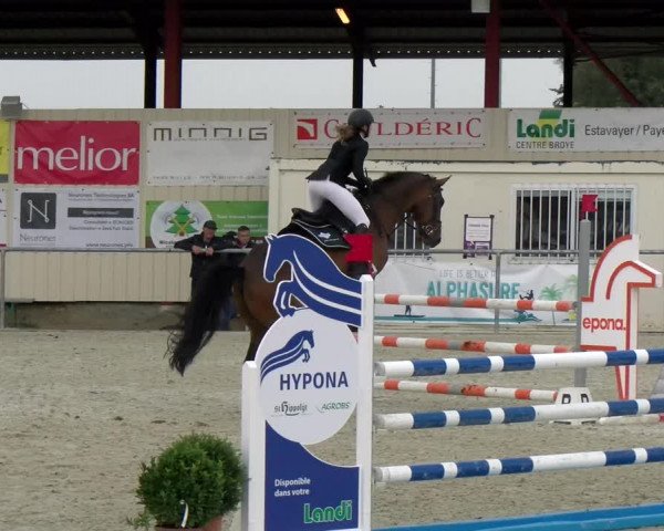 Reitturnier Dompierre 2022