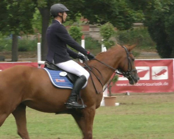 Reitturnier Aschersleben 2022