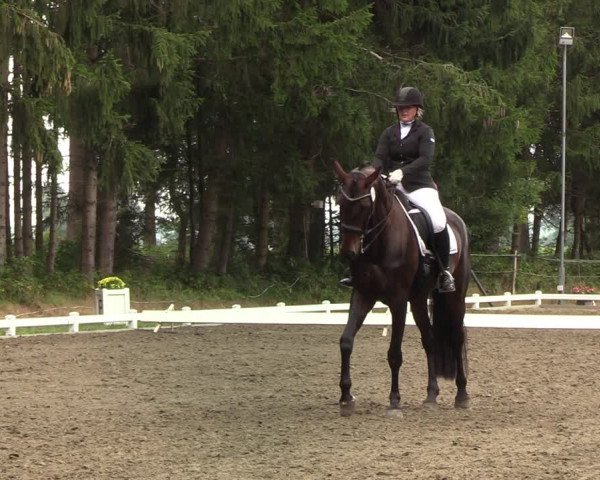 Reitturnier Kellinghusen 2022