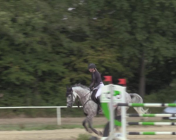 Reitturnier Menden 2022